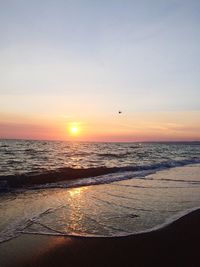 Scenic view of sea during sunset