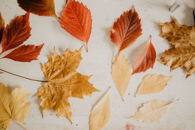 High angle view of fall leaves on table