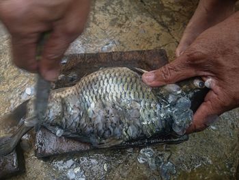 Midsection of person eating fish