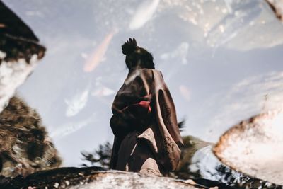 Low angle view of statue against sky