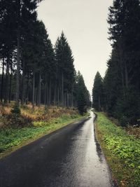 Road amidst trees in forest against clear sky