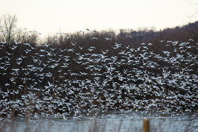 Scenic view of snow covered land against sky
