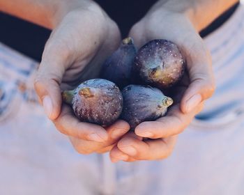 Close-up of man holding fruit