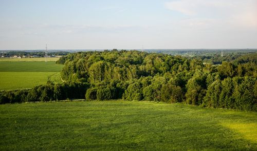 Scenic view of landscape