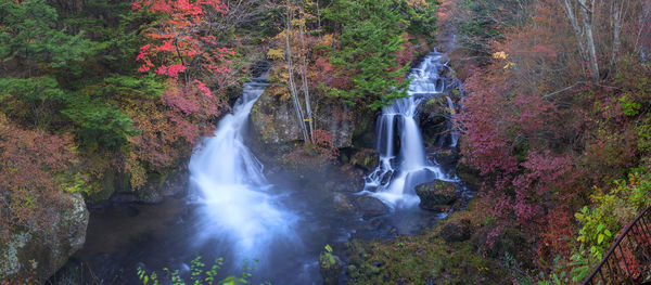 Scenic view of waterfall in forest