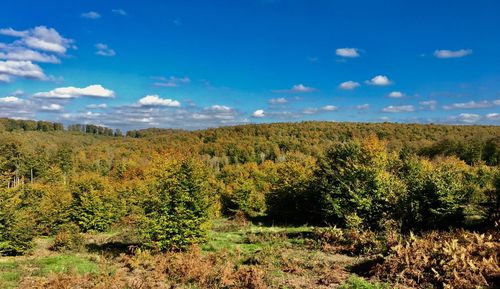 Scenic view of green landscape against sky