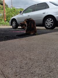 View of a car on the road