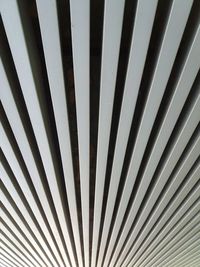 Full frame shot of palm leaf