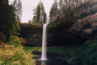 Scenic view of waterfall against trees in forest