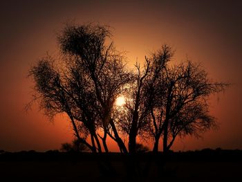 Silhouette trees against sky during sunset