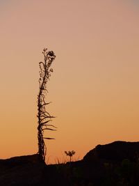 Scenic view of landscape at sunset