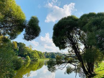 Reflection of trees in lake against sky