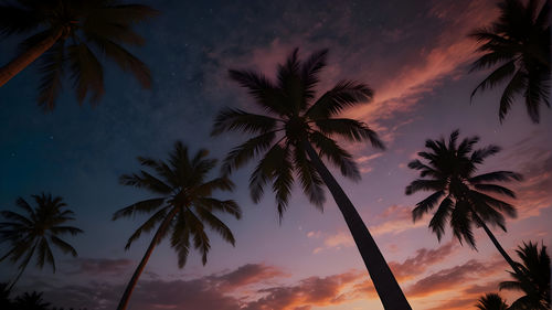 Palm trees against sky