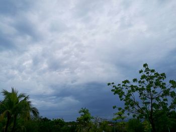 Low angle view of trees against cloudy sky