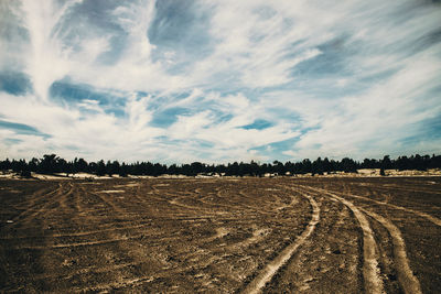 Scenic view of field against sky