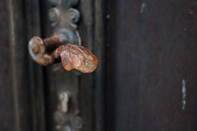 Close-up of rusty metal door