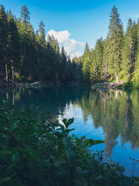 Scenic view of lake in forest against sky