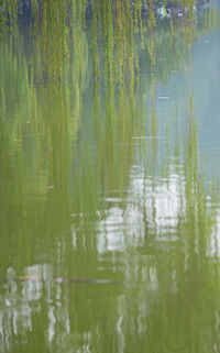 Scenic view of lake