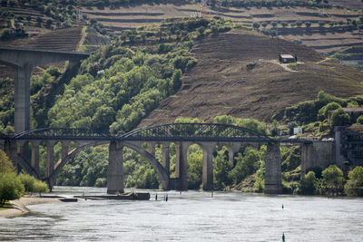 Bridge over river against trees