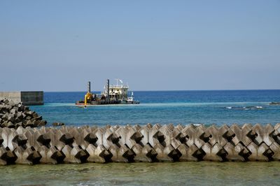 Tratapods at sea shore against clear sky