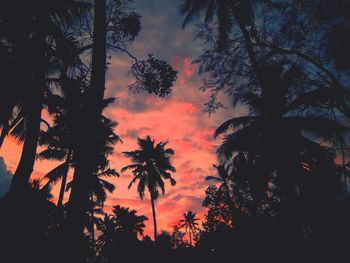 Low angle view of silhouette trees against sky at sunset