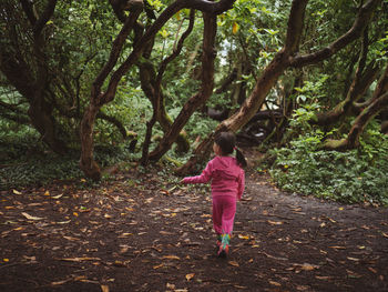 Full length rear view of girl walking in forest