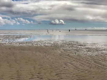 Birds on beach against sky