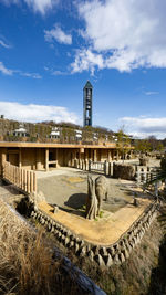 Elephant in higashiyama zoo and botanical gardens with higashiyama sky tower in cloudy blue sky day