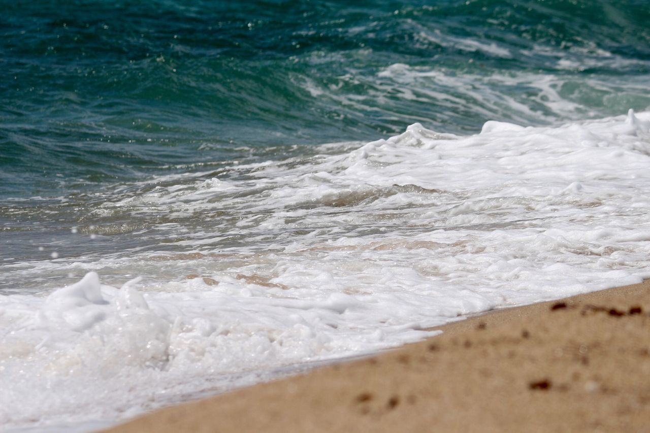 WAVE RUSHING TOWARDS SHORE