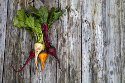 High angle view of radishes on table