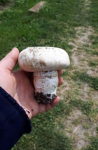 Midsection of person holding ice cream cone on field