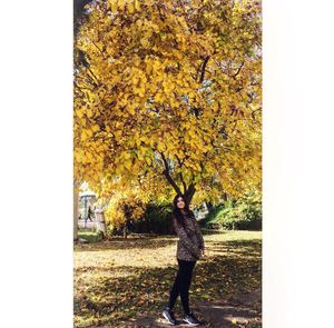 Full length of tree during autumn