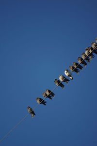 Low angle view of birds flying in sky