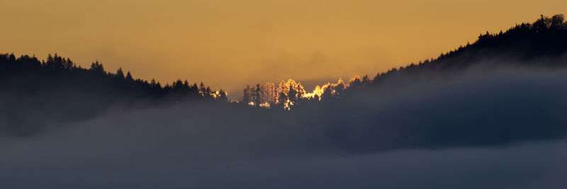 Silhouette trees against sky during sunset