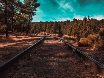 Railroad tracks amidst trees in forest against sky