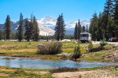 Scenic view of lake in forest