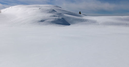 snowy landscape