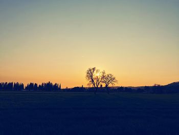Silhouette trees on field against clear sky during sunset