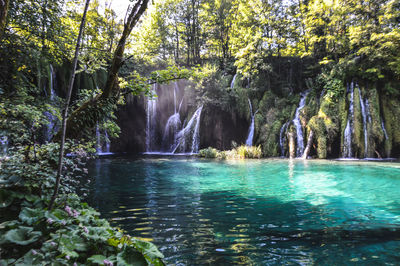 Scenic view of waterfall in forest