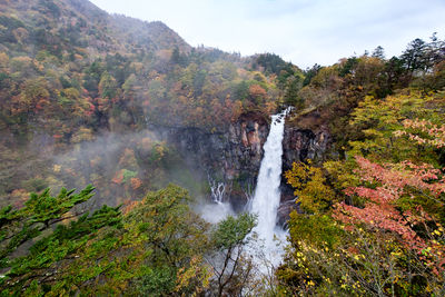 Scenic view of waterfall in forest