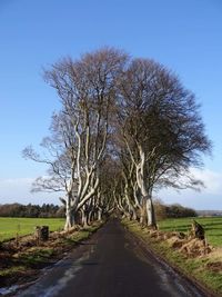 Road amidst bare trees on field against clear blue sky