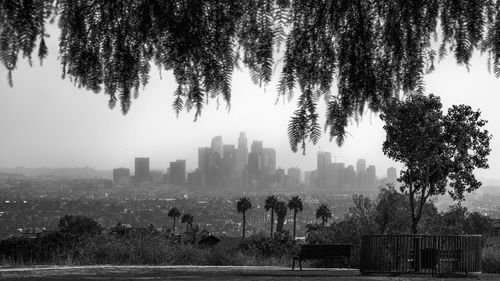 View on the los angeles skyline from a park