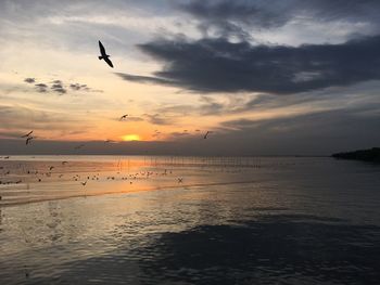 Scenic view of sea against sky during sunset