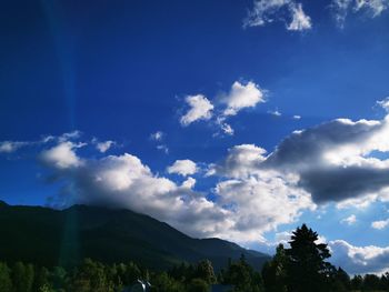 Low angle view of trees against blue sky