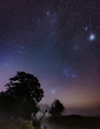 Low angle view of starry sky