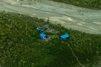 High angle view of road amidst plants on land