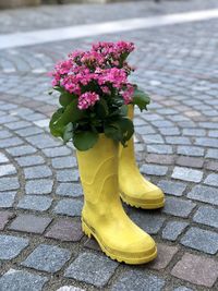 Close-up of yellow flower on footpath