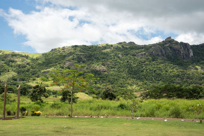 Trees growing on mountain by field against sky