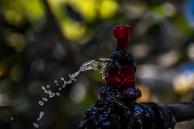 Water is coming out of the water tap.