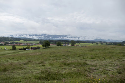 environment